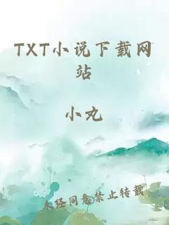 TXT小说下载网站