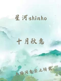 星河shinho