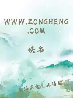 WWW.ZONGHENG.COM
