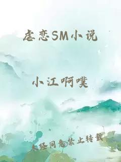 虐恋SM小说