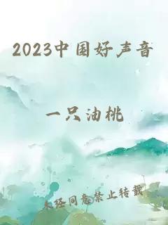 2023中国好声音