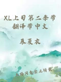XL上司第二季带翻译带中文