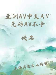 亚洲AV中文AⅤ无码AV不卡