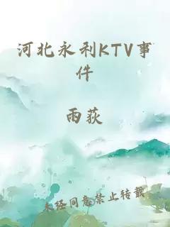 河北永利KTV事件