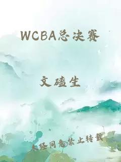 WCBA总决赛