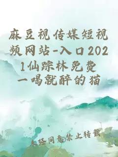 麻豆视传媒短视频网站-入口2021仙踪林免费